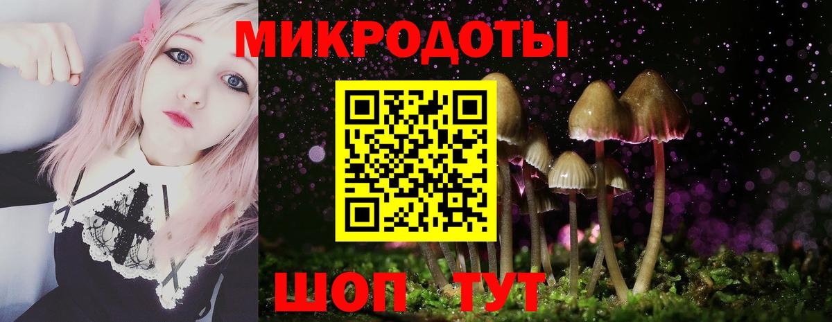 Галлюциногенные грибы Cubensis Джанкой