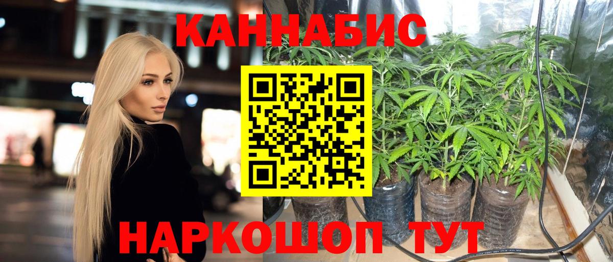 Конопля OG Kush Джанкой